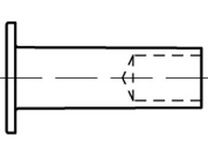 07338732000006025 - DIN 7338 Niet mit angebohrtem Schaft Aluminium