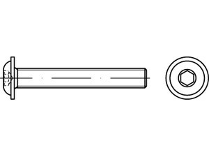 07380009000010030 - ISO 7380-2 Linsenflanschkopfschraube Stahl 10.9