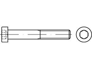 07984920000008016 - DIN 7984 Zylinderschraube Edelstahl A4
